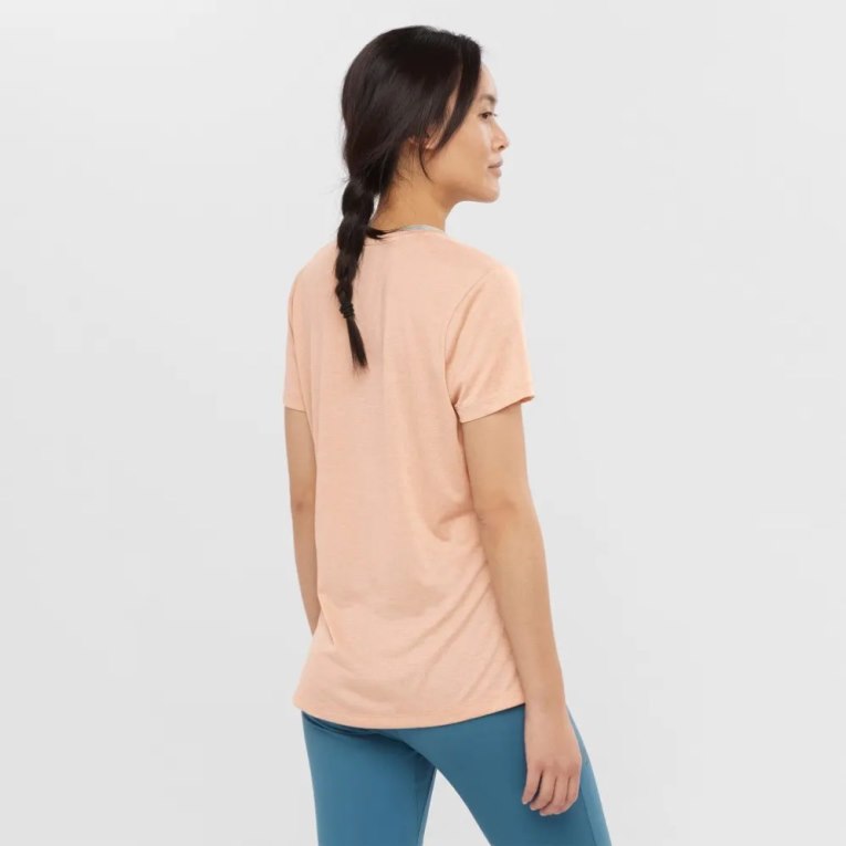 Camiseta Salomon Agile Corta Sleeve Mujer Albaricoque | MX ZQIN240